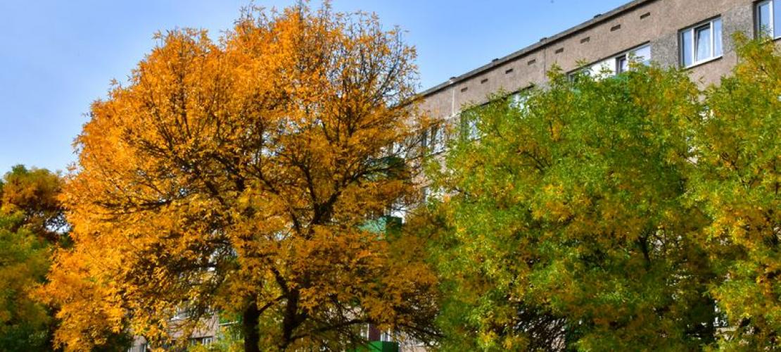 Par tirgus izpētes rezultātiem
