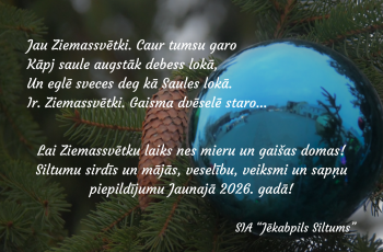Mierpilnus Ziemassvētkus un laimīgu Jauno gadu!